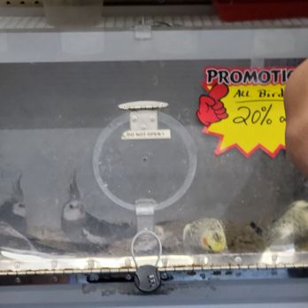 Jules Pet Shop - Pet Stores Near Me - Chicago, Illinois