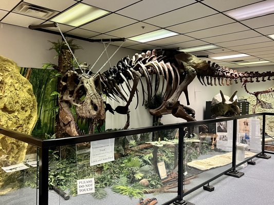 Earth Experience - Middle Tennessee Museum of Natural History by null