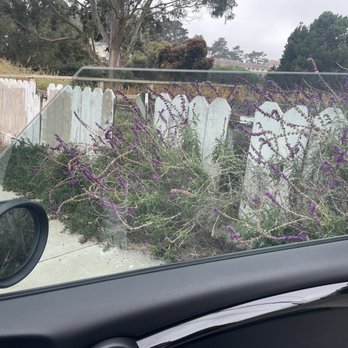 Premier Window Tinting & PPF - Car Window Tinting Near Me - San Bruno, California Premier Window Tinting & PPF - Car Window Tinting Near Me - San Bruno, California