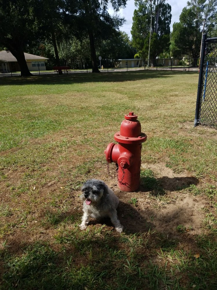 Dade City Dog Park Image