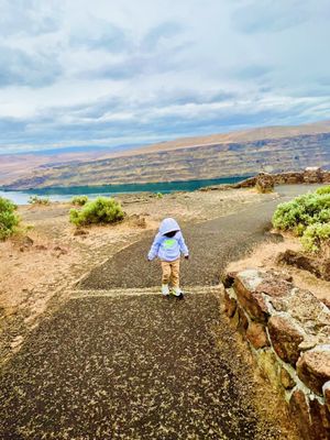 Wanapum Recreation Area by null