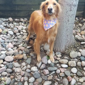 Barks 'N Bubbles Grooming - Pet Groomers Near Me - Evans, Colorado