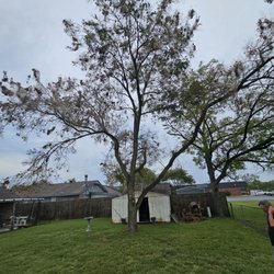Satisfactree Trimming and Removal