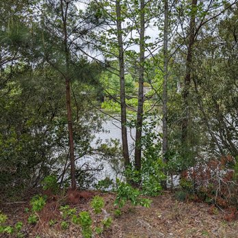 Lake Placid Park - This is one of several views of the lake at the park.  Photo taken April 22, 2023. - Parks Near Me - Virginia Beach, Virginia