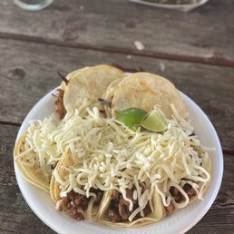 Mulitas Mulitas