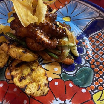 Casa Tradicional - Octopus - Seafood Near Me - Puerto Vallarta, JAL