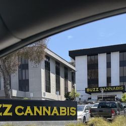 Buzz Cannabis