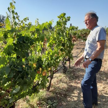 ACORN Winery - Bill - Wineries Near Me - Healdsburg, California ACORN Winery - Bill - Wineries Near Me - Healdsburg, California