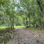 Photo of Town 'n Country Nature Preserve