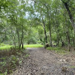 Town 'n Country Nature Preserve