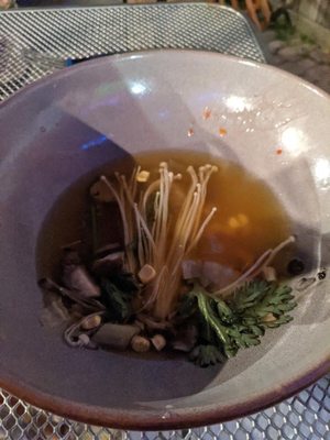 Fancy Plants Kitchen by null