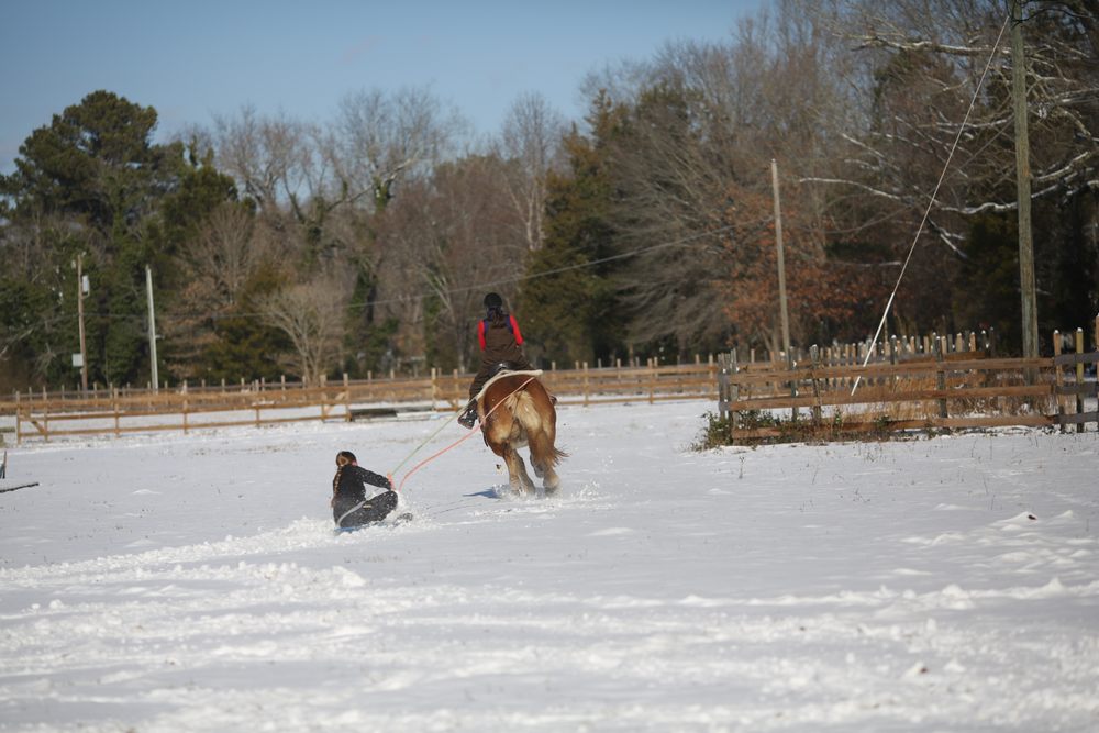 Hearts Corner Farm - equestrian in Wake, VA