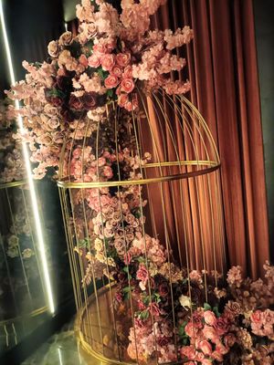 Koya by null Koya by null