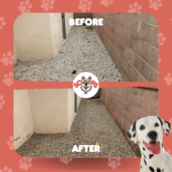 Scoops Pooper Scoopers - Before & After Poop Scooping in Rocks - Pet Waste Removal Near Me - Lancaster, California Scoops Pooper Scoopers - Before & After Poop Scooping in Rocks - Pet Waste Removal Near Me - Lancaster, California