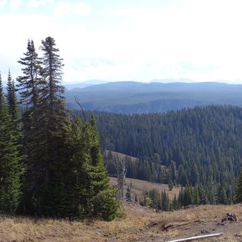 Mt. Washburn - Hiking Near Me - Yellowstone National Park, Wyoming Mt. Washburn - Hiking Near Me - Yellowstone National Park, Wyoming