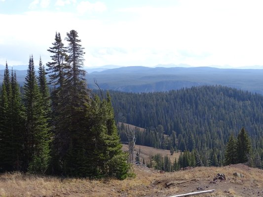 Mt Washburn by null