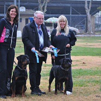 CBS Pack Leader - 25 years experience - Award winning results - Pet Training Near Me