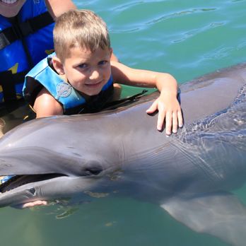 Dolphin Discovery - Aquariums Near Me - Cabo San Lucas, BCS