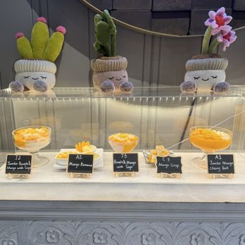Hui Lau Shan - Display - Desserts Near Me - Cupertino, California Hui Lau Shan - Display - Desserts Near Me - Cupertino, California