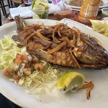 Rosales Mexican Restaurant - Mojarra / Tilapia - Mexican Near Me - Santa Barbara, California Rosales Mexican Restaurant - Mojarra / Tilapia - Mexican Near Me - Santa Barbara, California