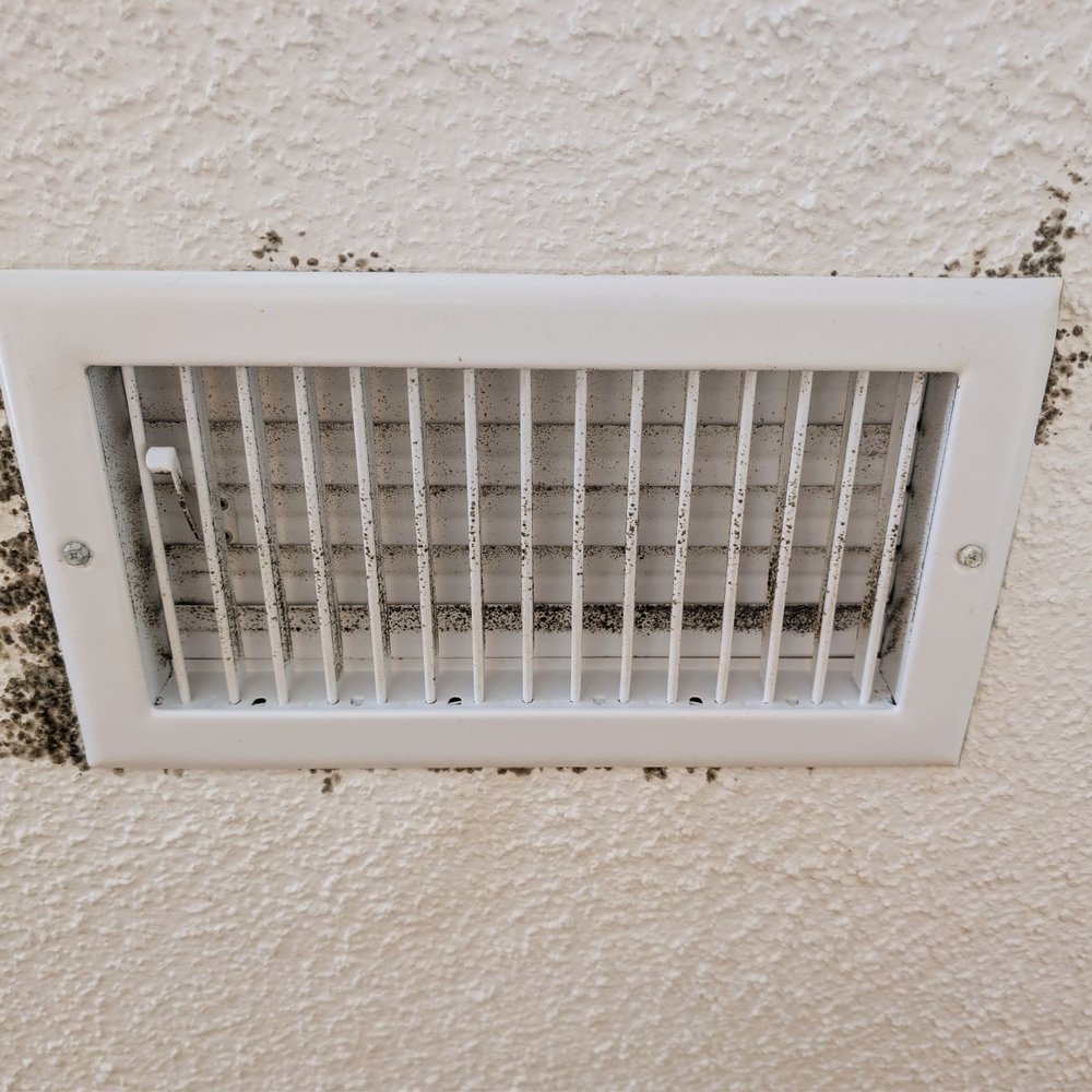 SmartEgg Properties - Mold growth - Property Management Near Me SmartEgg Properties - Mold growth - Property Management Near Me
