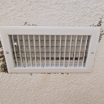 SmartEgg Properties - Mold growth - Property Management Near Me SmartEgg Properties - Mold growth - Property Management Near Me