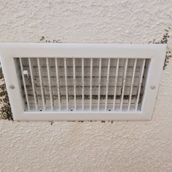 SmartEgg Properties - Mold growth