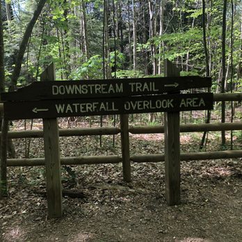 Cummins Falls State Park - Parks Near Me - Cookeville, Tennessee Cummins Falls State Park - Parks Near Me - Cookeville, Tennessee