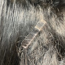 Root and Mane