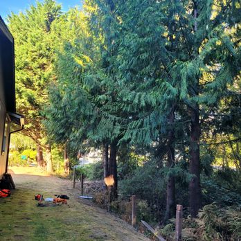 Welch Tree Service - Tree Services Near Me - Granite Falls, Washington