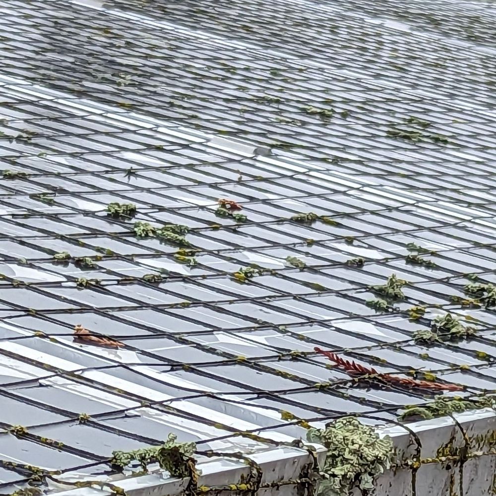 Clean Solar - Doesn't look clean to me i had to inspect it myself to see that they only cleaned 1/3 of the panels i got. - Solar Installation Near Me - San Jose, California Clean Solar - Doesn't look clean to me i had to inspect it myself to see that they only cleaned 1/3 of the panels i got. - Solar Installation Near Me - San Jose, California