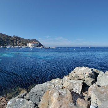 Catalina Island - The ocean - Local Flavor Near Me Catalina Island - The ocean - Local Flavor Near Me