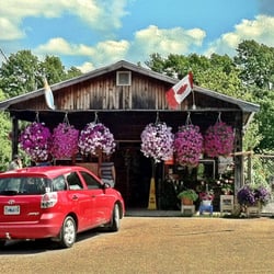 Doyle's Farm Market - Out front