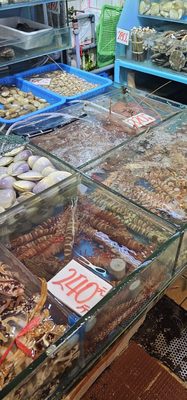 Kowloon City Market and Cooked Food Centre by null