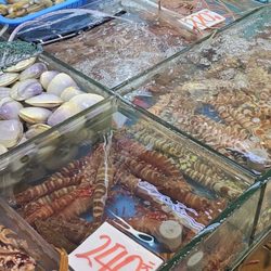 九龍城街市及熟食中心