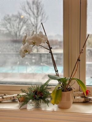Ste. Anne's Spa by null