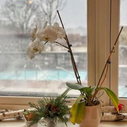 Ste Anne's Spa