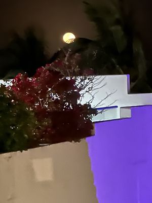 Hotel Ocean South Beach by null