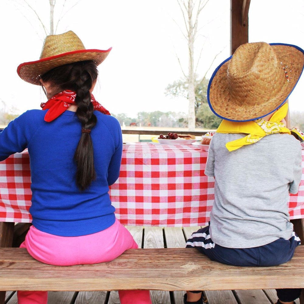 Painted Pony - Party & Event Planning Near Me - Monticello, Florida Painted Pony - Party & Event Planning Near Me - Monticello, Florida