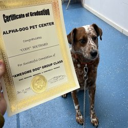 Alpha-Dog Pet Centers