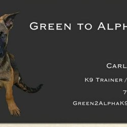 Green to Alpha K9