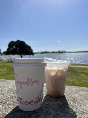 Superbloom Coffee & Juice by null