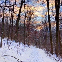 Wawa Preserve - Wawa Preserve