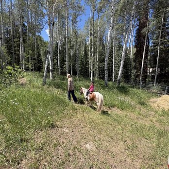 Beaver Creek Stables - Starting walk on pathway around tree area... - Horse Boarding Near Me - Avon, Colorado