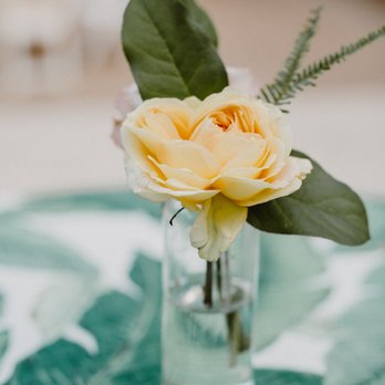 Yellow Umbrella Events - Cheryl picked out the banana leaf table cloths. So Beautiful! - Party & Event Planning Near Me - New Braunfels, Texas Yellow Umbrella Events - Cheryl picked out the banana leaf table cloths. So Beautiful! - Party & Event Planning Near Me - New Braunfels, Texas