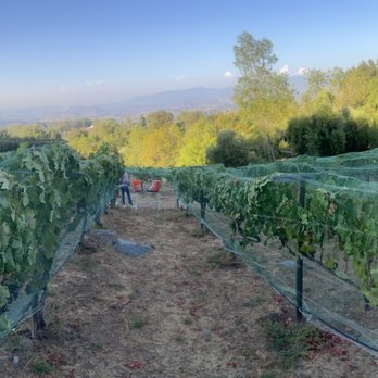 Hidden Meadows Vineyard - Wine Tasting Room Near Me - Escondido, California Hidden Meadows Vineyard - Wine Tasting Room Near Me - Escondido, California