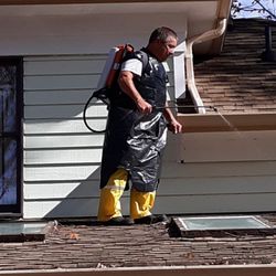 Go Handyman