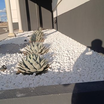 Lliguin Landscaping - Landscaping Near Me - Albuquerque, New Mexico