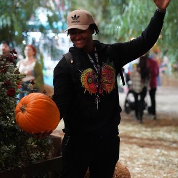 Live Oak Canyon Pumpkin Patch and Christmas Tree Farm - Christmas Trees Near Me - Redlands, California Live Oak Canyon Pumpkin Patch and Christmas Tree Farm - Christmas Trees Near Me - Redlands, California