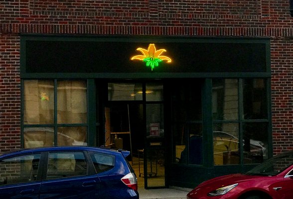 Neon Williams by null